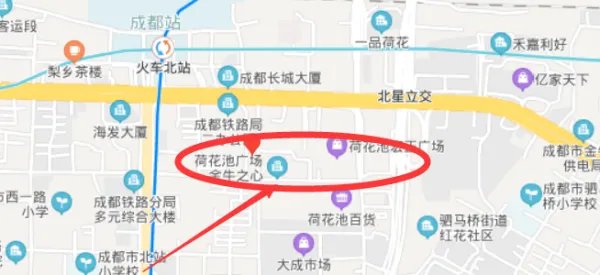 荷花池搬迁到哪里了