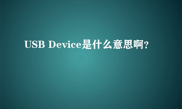USB Device是什么意思啊？