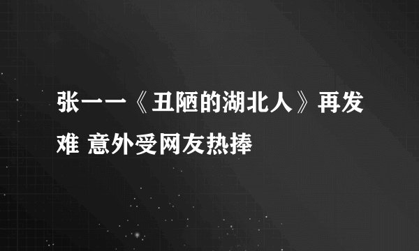 张一一《丑陋的湖北人》再发难 意外受网友热捧