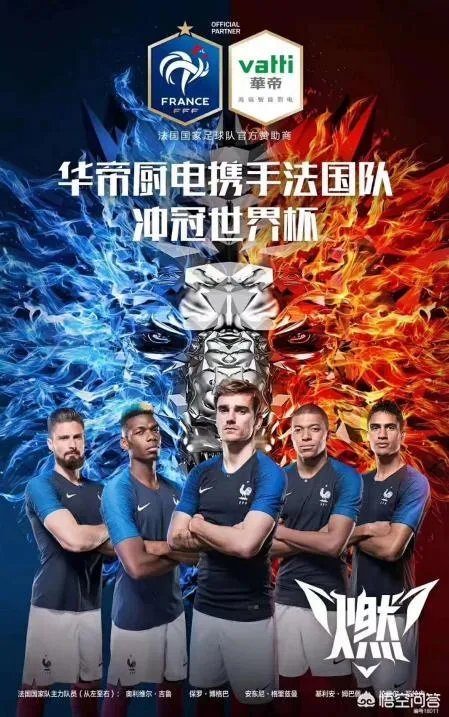 市场营销法国队夺冠华帝退全款的什么情况