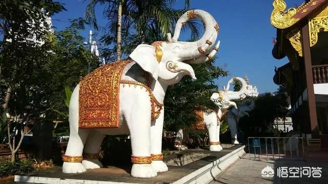 准备一月份从成都出发去西双版纳旅游，大概十天时间，有什么好的路线推荐吗？