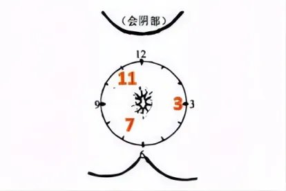 肛门几点钟方向图表