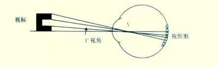 为什么视力表要用E来测试力呢？为什么不用其他字母或符号呢？