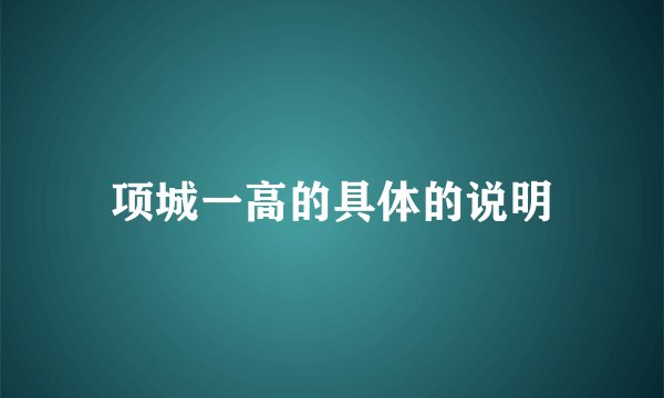 项城一高的具体的说明