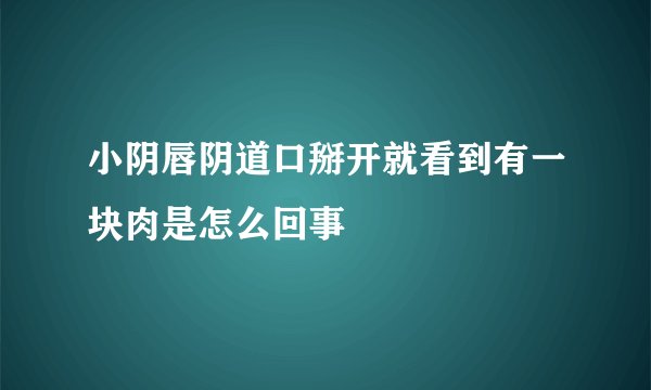 小阴唇阴道口掰开就看到有一块肉是怎么回事
