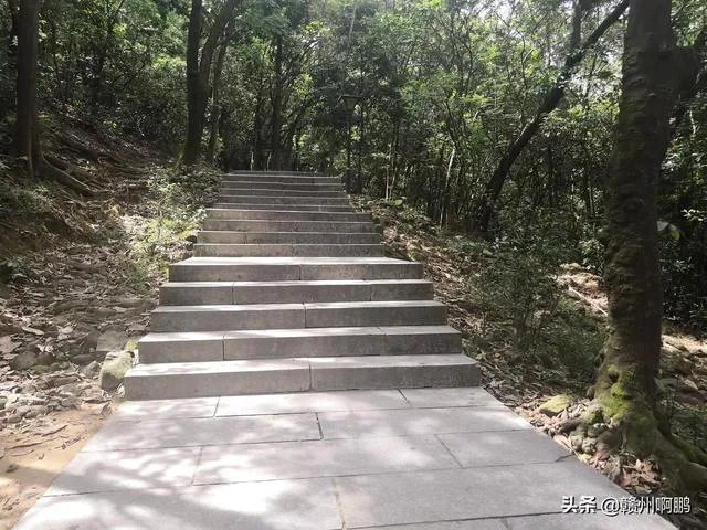 深圳凤凰山好玩吗？