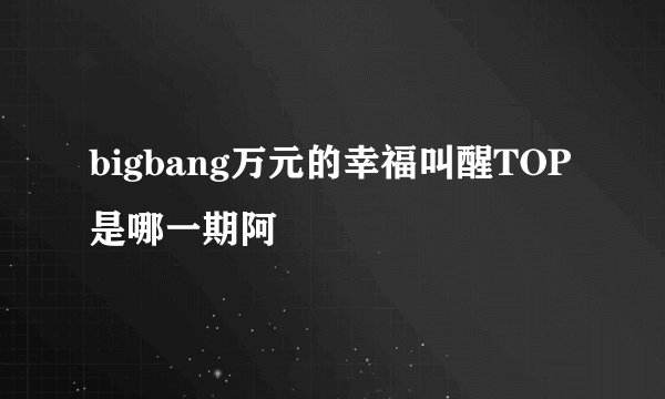 bigbang万元的幸福叫醒TOP是哪一期阿