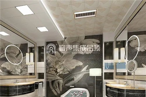 厨卫吊顶十大排名 吊顶一线品牌大集合
