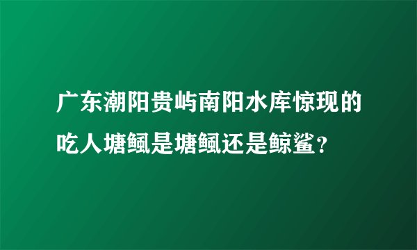 广东潮阳贵屿南阳水库惊现的吃人塘鲺是塘鲺还是鲸鲨？