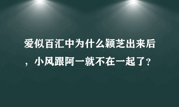 爱似百汇中为什么颖芝出来后，小风跟阿一就不在一起了？