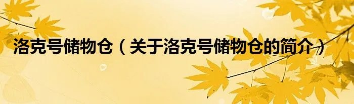 洛克号储物仓（关于洛克号储物仓的简介）
