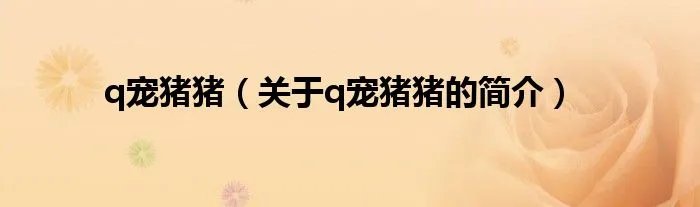 q宠猪猪（关于q宠猪猪的简介）