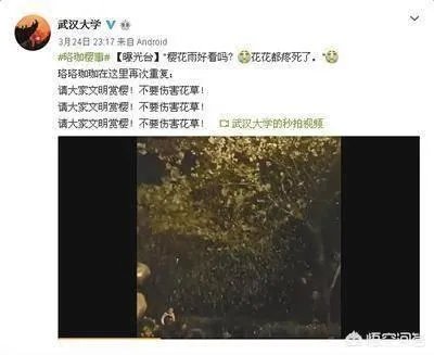 男子在武大疯狂摇晃樱花树制造樱花雨，学生发帖请求放过樱花树，你怎么看？