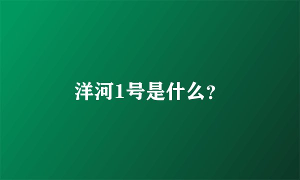 洋河1号是什么？