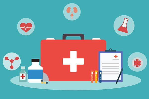 海龙的功效与作用