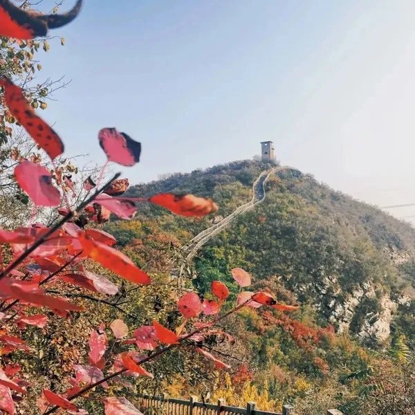 五一去哪玩？北京这7个地方景美、人少、好出片！