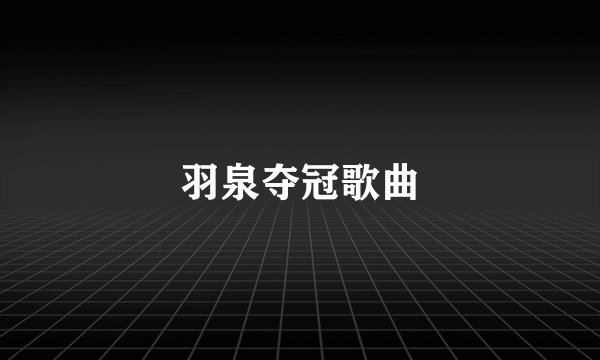 羽泉夺冠歌曲