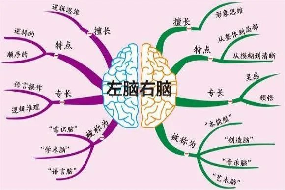 脑保健思维导图