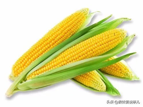 疫情尚未结束，多国禁止粮食出口，老百姓需要囤积粮食吗？