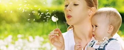 上海家庭日策划大概要多少钱-纽莱弗