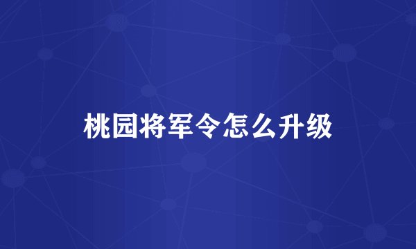 桃园将军令怎么升级
