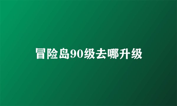 冒险岛90级去哪升级