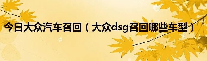 今日大众汽车召回（大众dsg召回哪些车型）