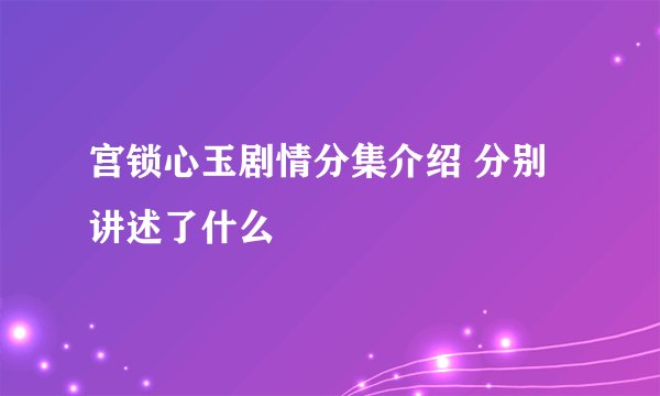宫锁心玉剧情分集介绍 分别讲述了什么