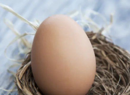 春分是什么意思 春分的“分”的意思