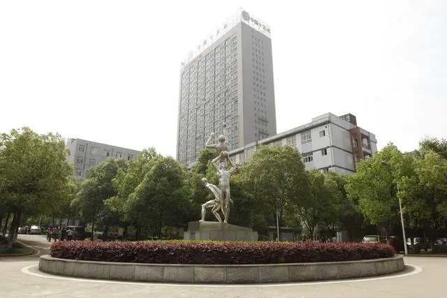 武汉长江职业学院全国专科排名第几？