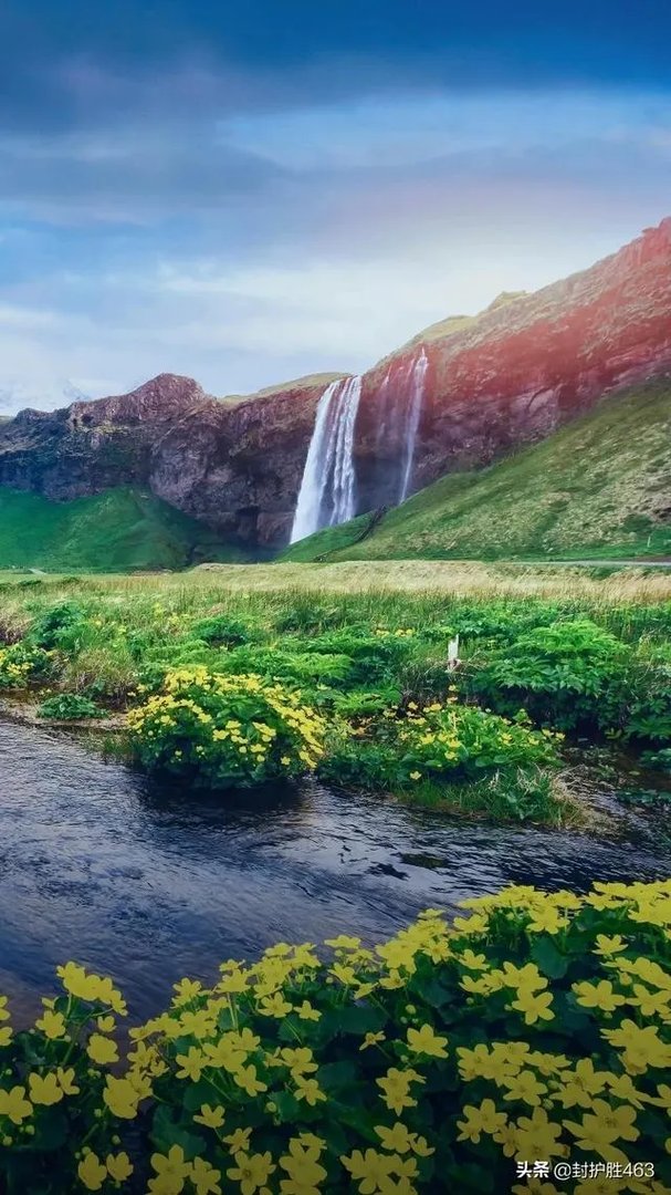 你眼里的春天是什么样子的?