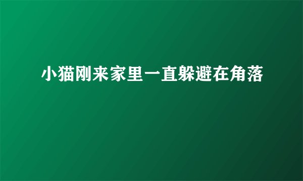 小猫刚来家里一直躲避在角落