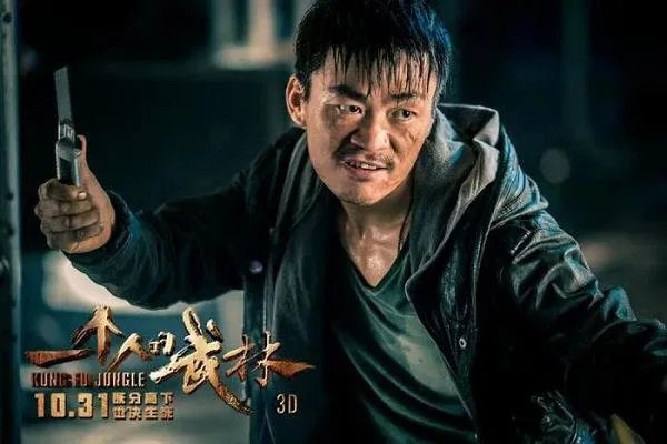 十部经典王宝强电影