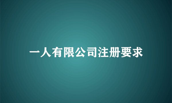 一人有限公司注册要求