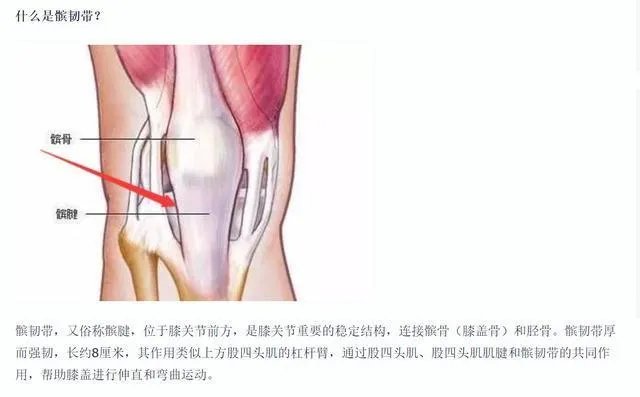 苏群微博放图林书豪被达伦·科里森推了一把导致韧带拉伤赛季报销，你对这件事怎么看？