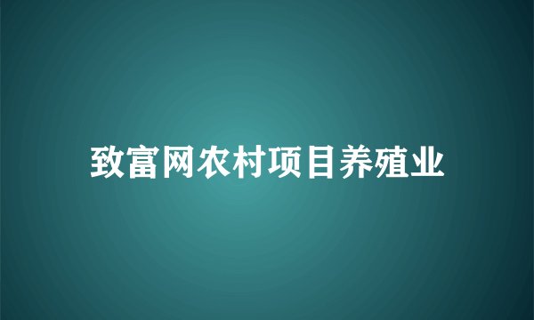 致富网农村项目养殖业