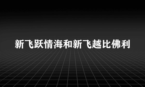 新飞跃情海和新飞越比佛利