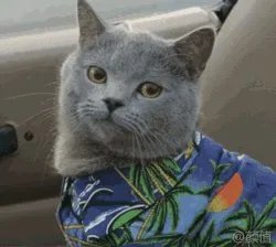 河南为什么成了全国强降雨中心？