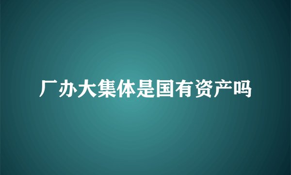 厂办大集体是国有资产吗