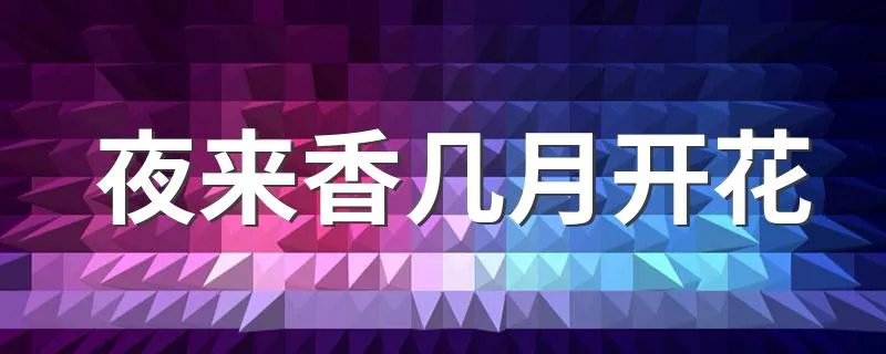 夜来香几月开花 夜来香开花月份