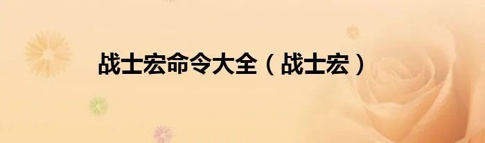 战士宏命令大全（战士宏）
