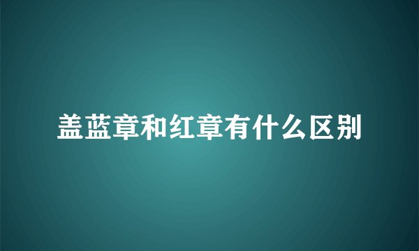 盖蓝章和红章有什么区别