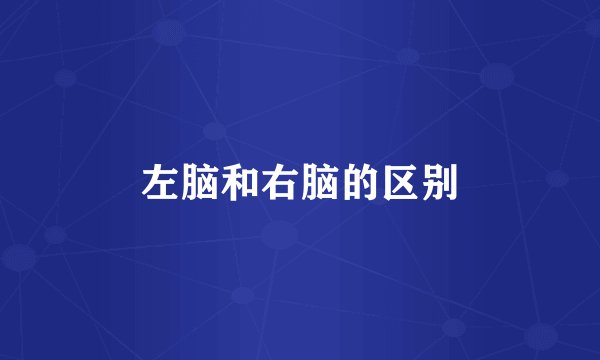 左脑和右脑的区别