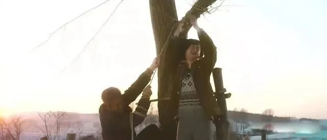 树先生解析细思极恐看了三遍 可是被这个社会逼了