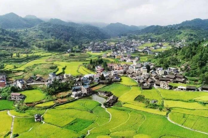 一坪等于多少平米