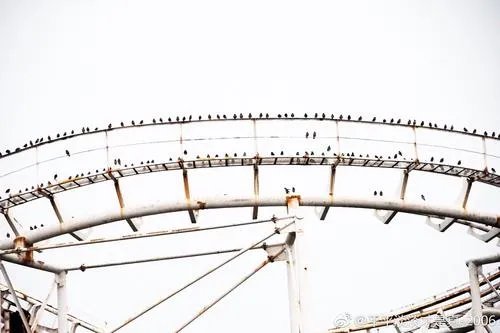 过山车事故及原因