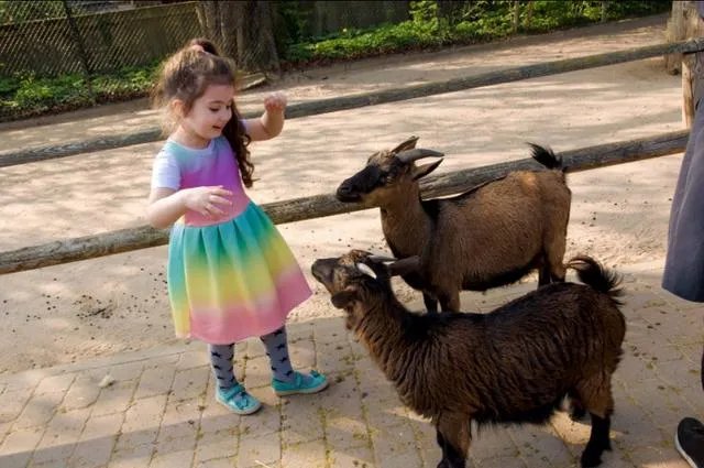 人文摄影，有什么样内涵的作品才可以称为人文摄影？