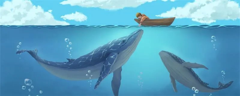 鲸鱼是鱼吗  鲸鱼是不是鱼