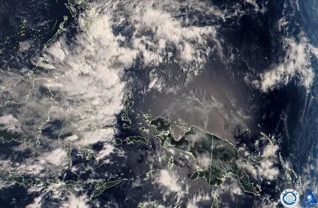 2020年一共吹过多少个台风？