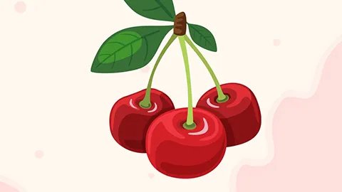 缺铁性贫血吃什么水果好